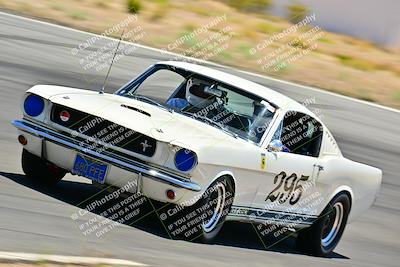 media/May-10-2025-Cobra Club (Sat) [[7b9c5022b1]]/Passenger/